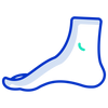 Shock-Absorbing Sole