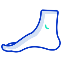 Ergonomic Sole